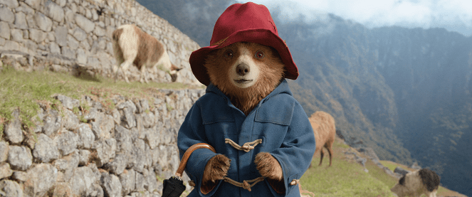 Paddington v džungli