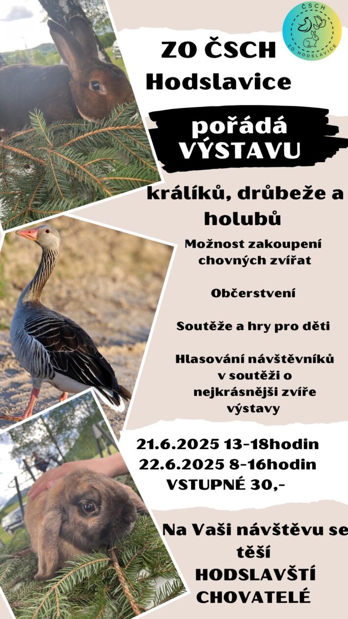 Výstava drobného zvířectva v Hodslavicích