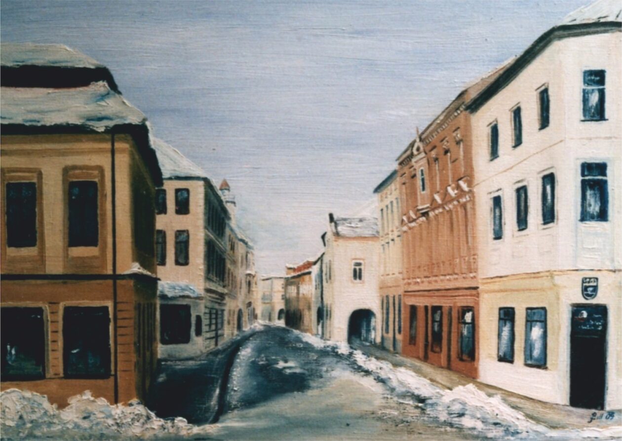 Nový Jičín a okolí - Jan Bill