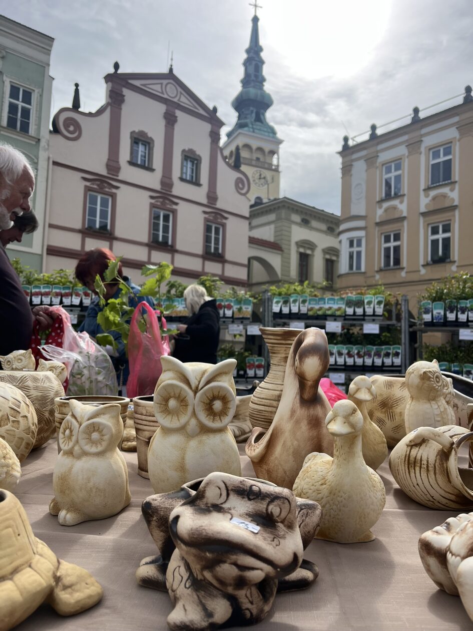 Novojičínský jarmark - Květinový