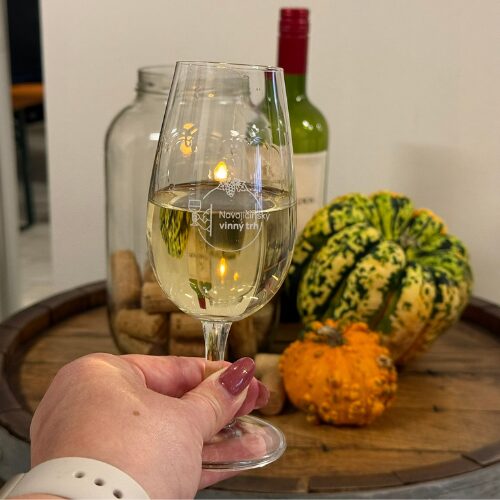 Novojičínský Vinný trh s putováním