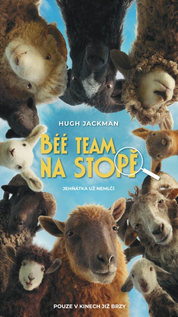 Béé team na stopě