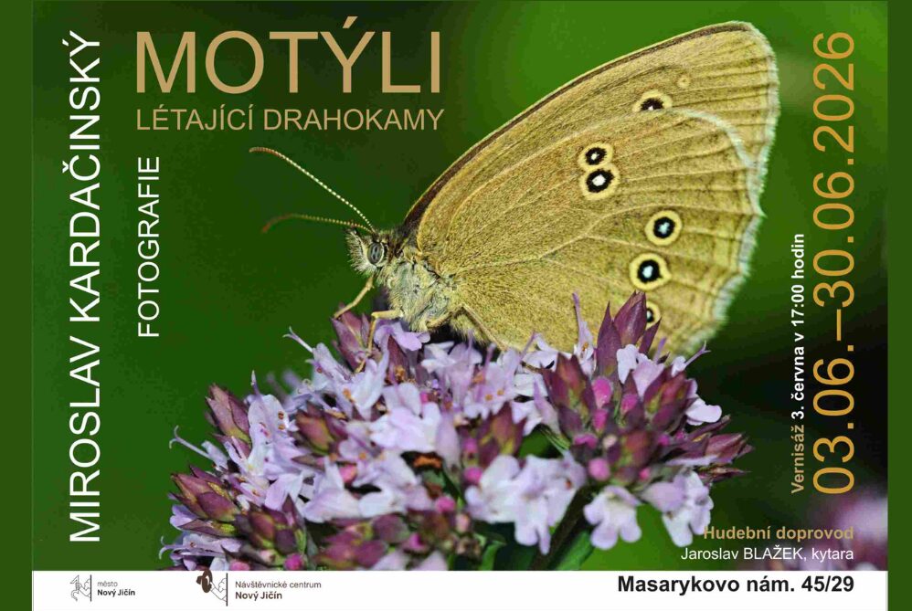 Vernisáž výstavy fotografií „Motýli létající drahokamy“