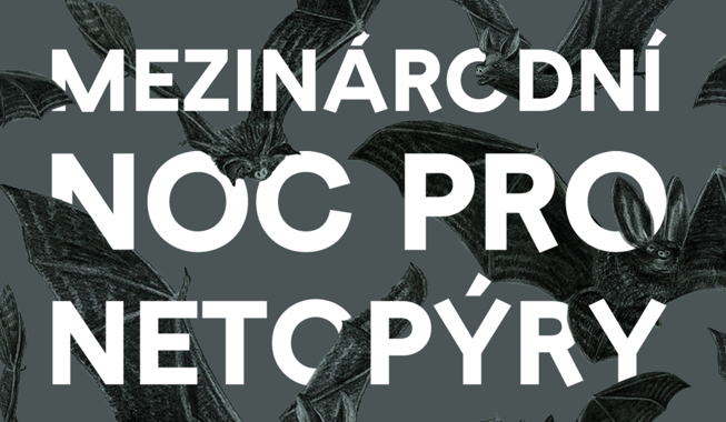 MEZINÁRODNÍ NOC PRO NETOPÝRY