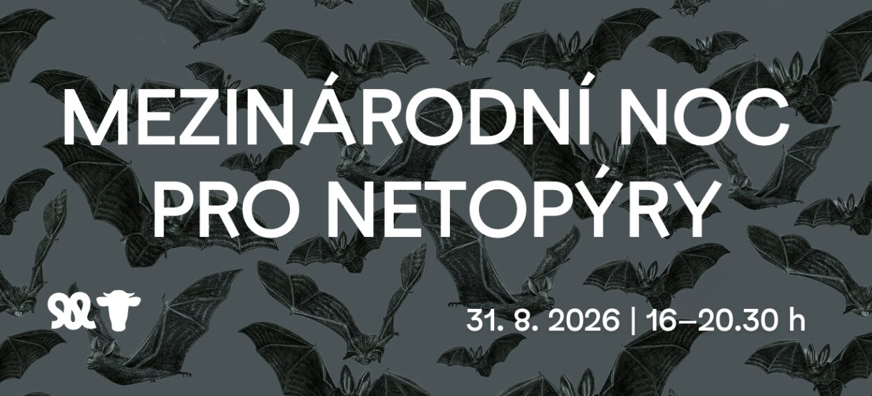 MEZINÁRODNÍ NOC PRO NETOPÝRY